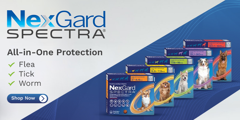 Nexgard Spectra Compresse Masticabili per Cani
