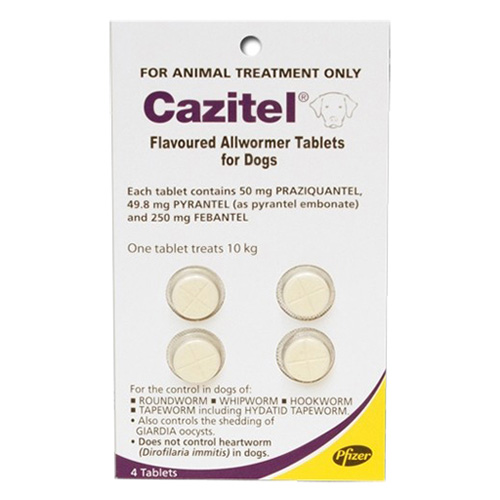Cazitel: vermifugo aromatizzato per cani