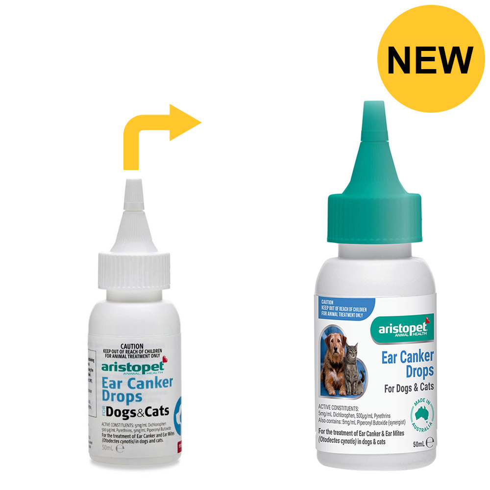 Aristopet: gocce contro la dermatite auricolare per cani