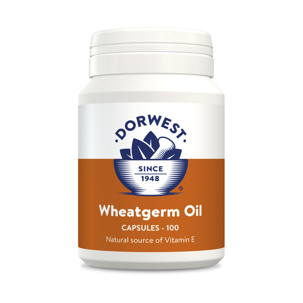 Capsule di olio di germe di grano Dorwest per integratori