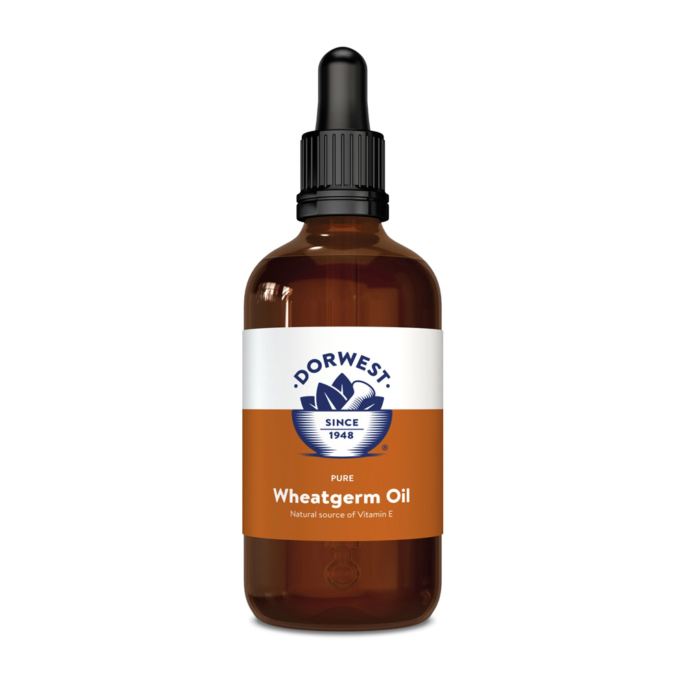 Olio di germe di grano Dorwest liquido per integratori