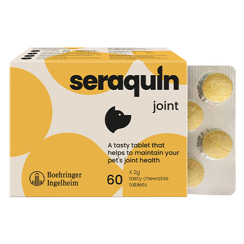 Seraquin per cani