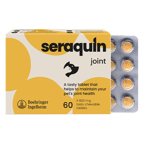 Seraquin per cani