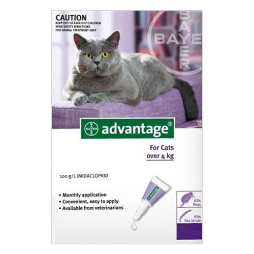 Vantaggi per i gatti