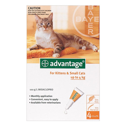 Vantaggi per i gatti