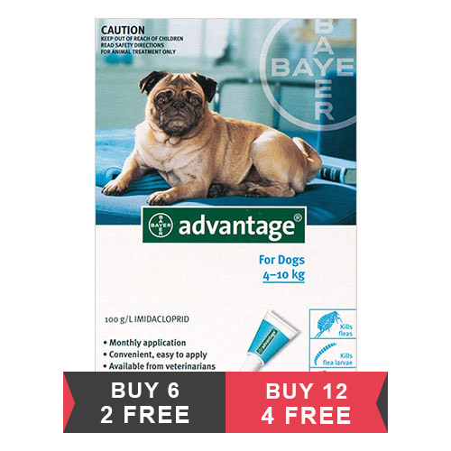 Advantage Medium Dogs 11-20lbs (Aqua)