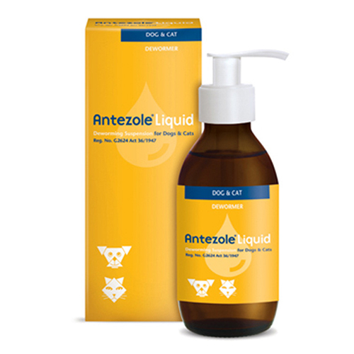 Antezole, sospensione orale liquida per gatti