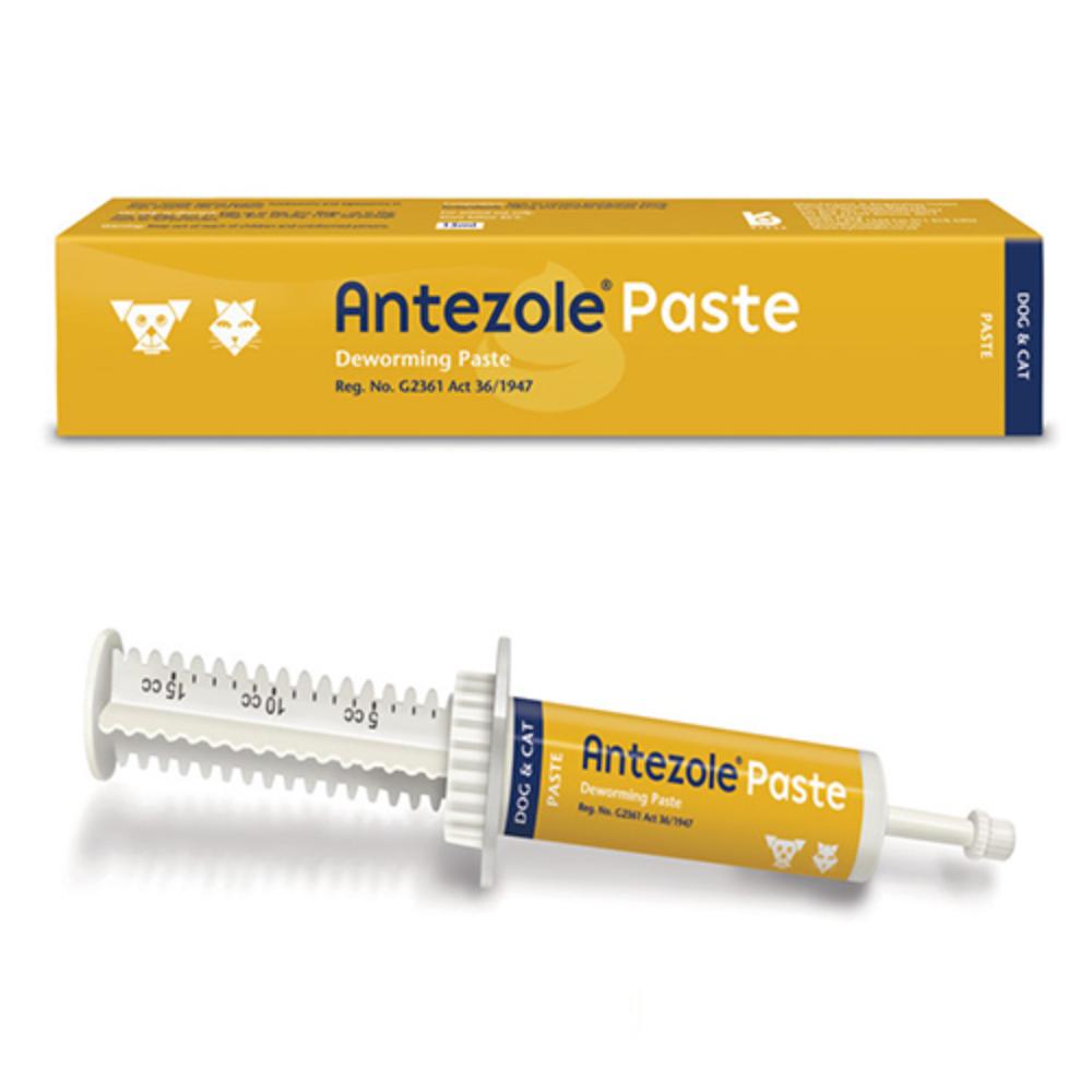 Antezole per cani