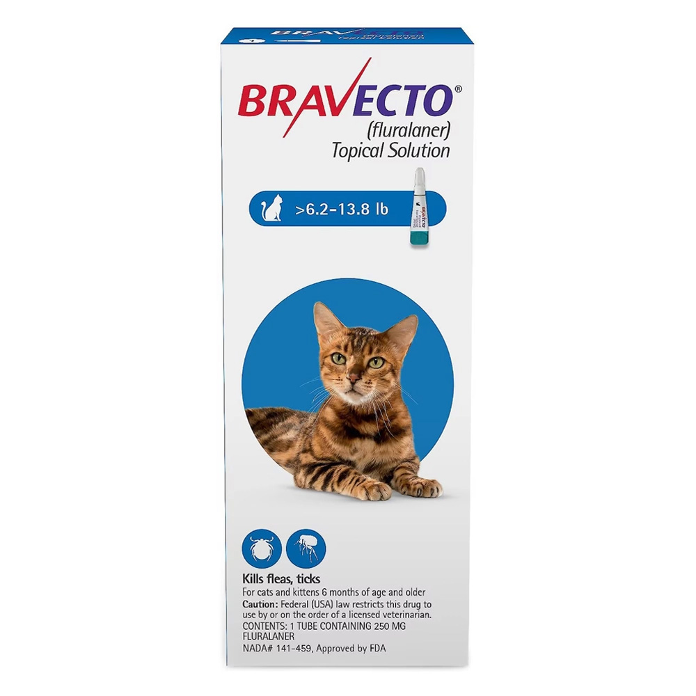 Bravecto Spot On per gatti