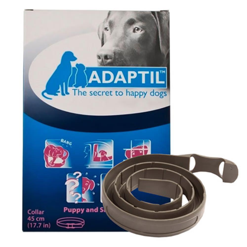 Collare Adaptil per cani