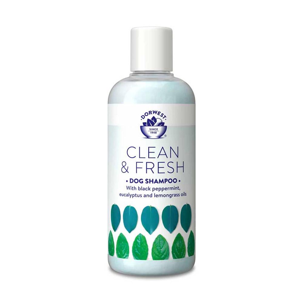 Dorwest Clean & Fresh - Shampoo per cani e gatti
