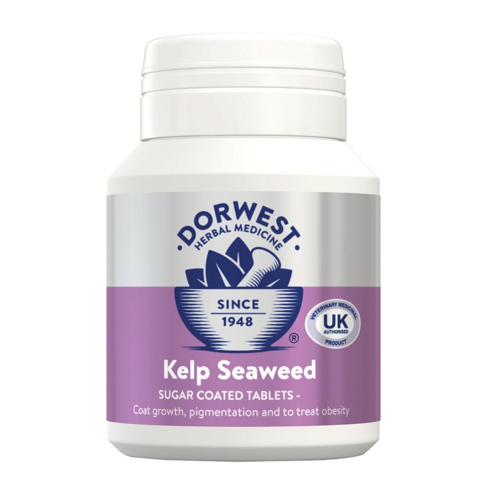 Compresse di alghe Dorwest Kelp per cani e gatti