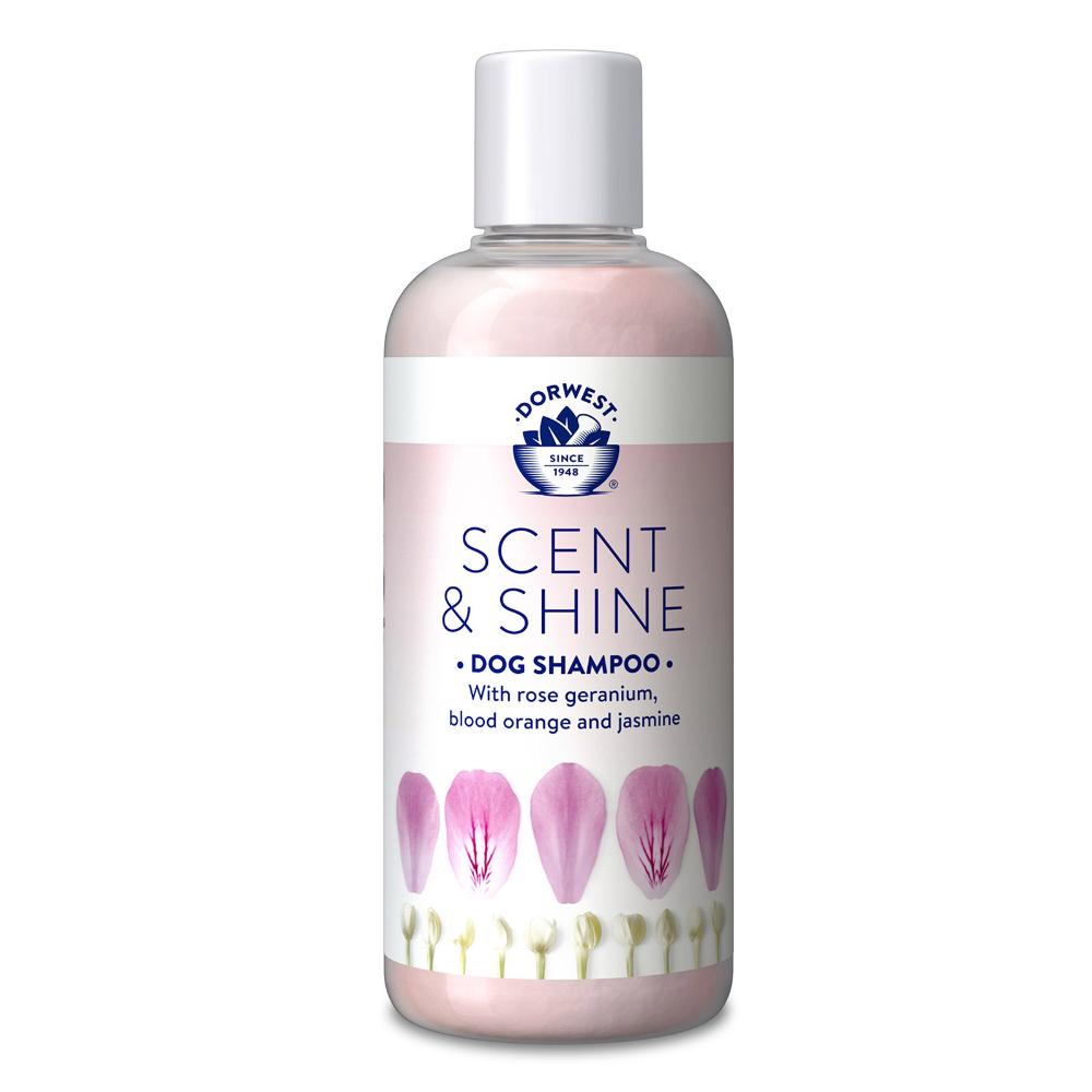 Dorwest Scent & Shine - Shampoo per cani e gatti
