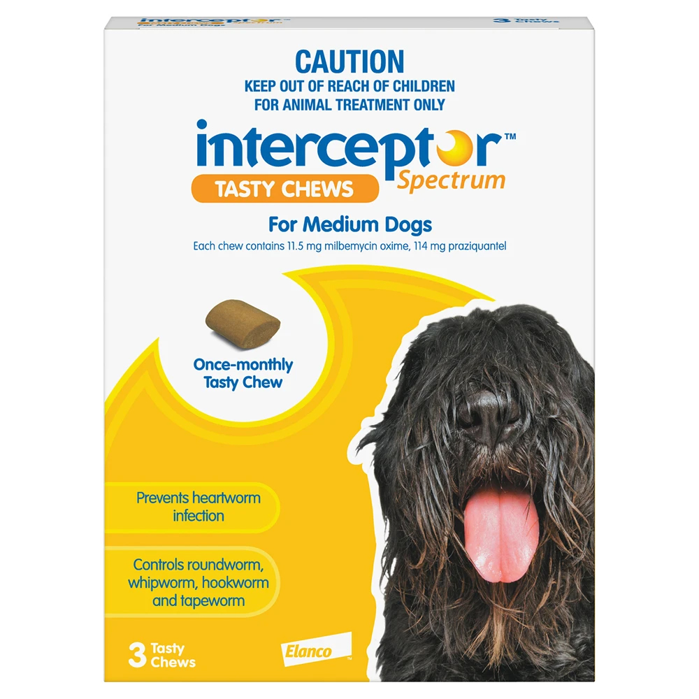Interceptor for Medium Dogs 26-50 lbs (Yellow)