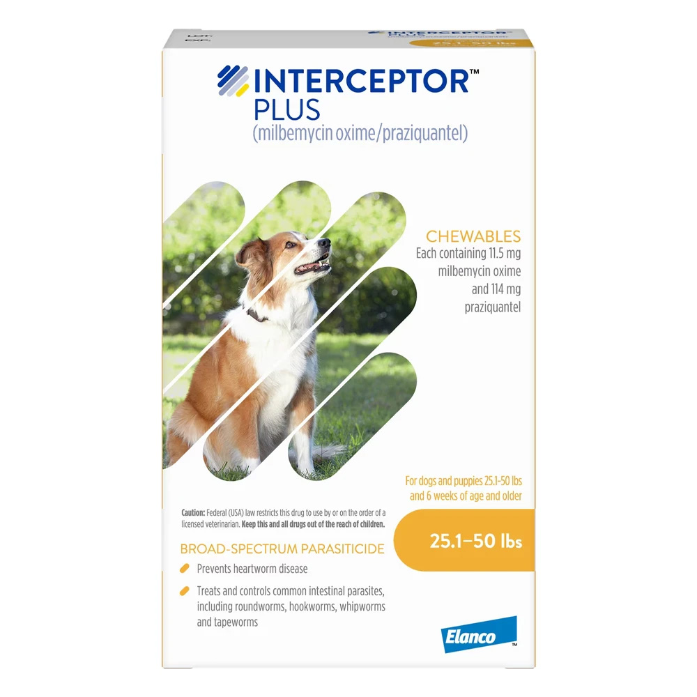 Interceptor Plus per cani