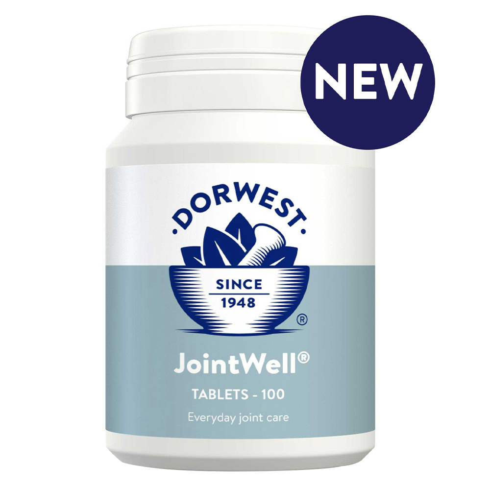 Dorwest JointWell Compresse per cani e gatti
