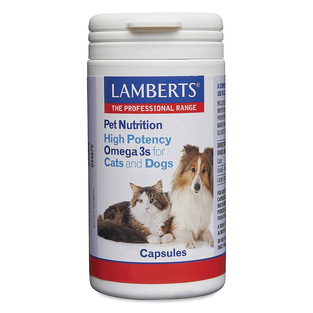 Lamberts High Potency Omega 3s for Dogs for Supplements