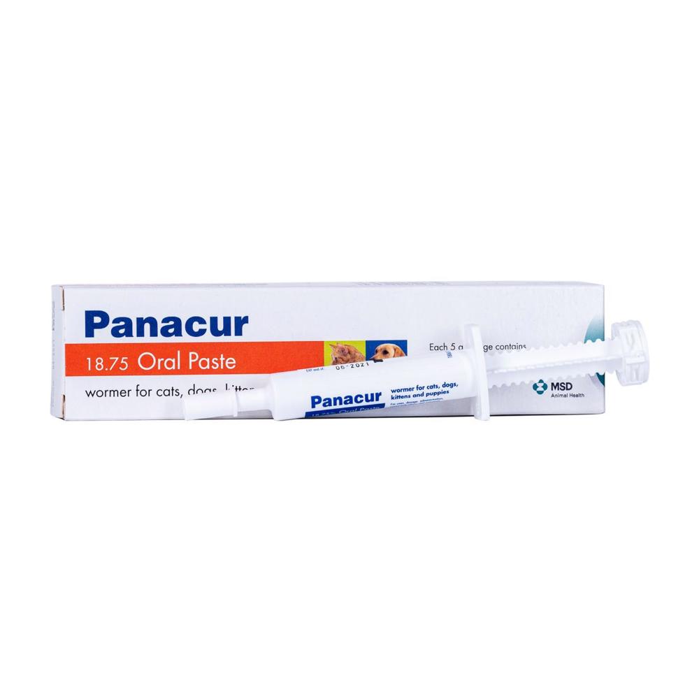 Panacur - Pasta vermifuga per gatti