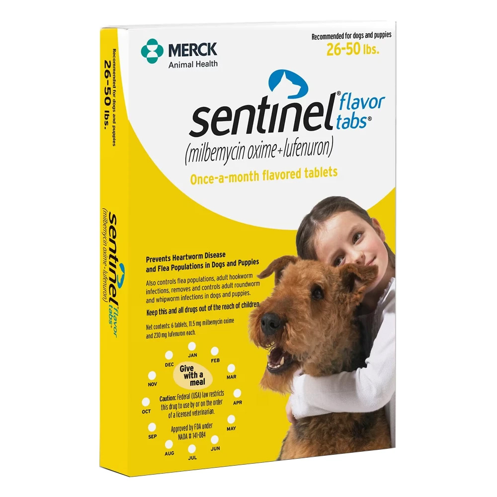 Sentinel per cani