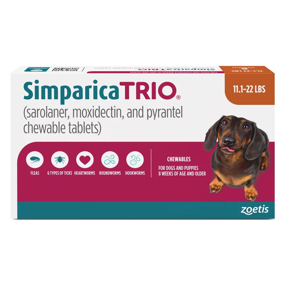 per cani da 5 a 10 kg (Caramel)