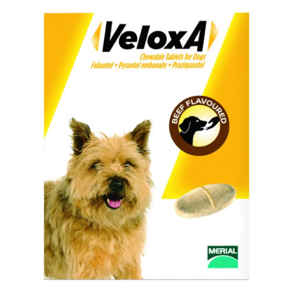 Veloxa per cani