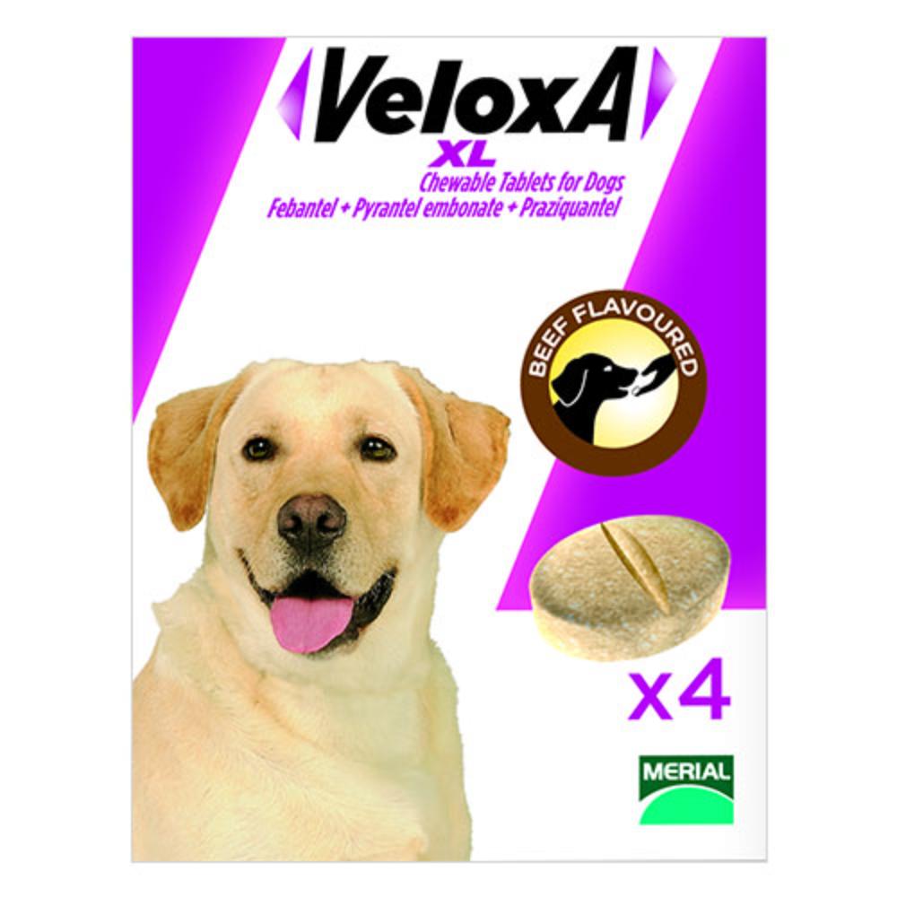 Veloxa per cani