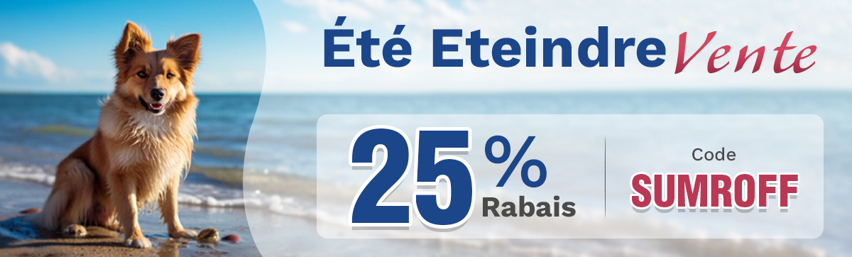 Banner promozionale